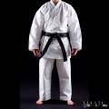 karate gi