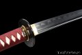 katana giapponese iaito