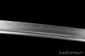 katana giapponese iaito