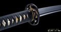 iaito per iaido kenjutsu kendo