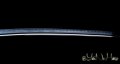 Kamakiri Katana giapponese mantide