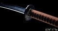 Kamakiri Katana giapponese mantidee