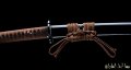 Kamakiri Katana giapponese mantide