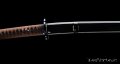 Kamakiri Katana giapponese mantide