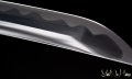 katana giapponese musashi