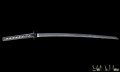 shinden fudo ryu katana giapponese