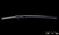 shinden fudo ryu katana giapponese