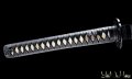 shinden fudo ryu katana giapponese