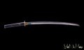 Iaito katana giapponese per iaido
