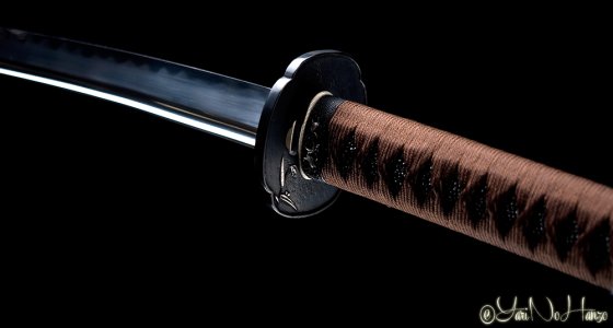 Kamakiri Katana giapponese mantidee