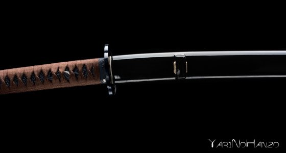Kamakiri Katana giapponese mantide