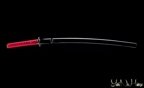 katana per pratica iaido