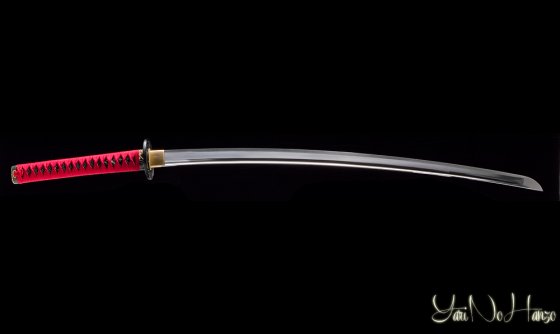 katana per pratica iaido
