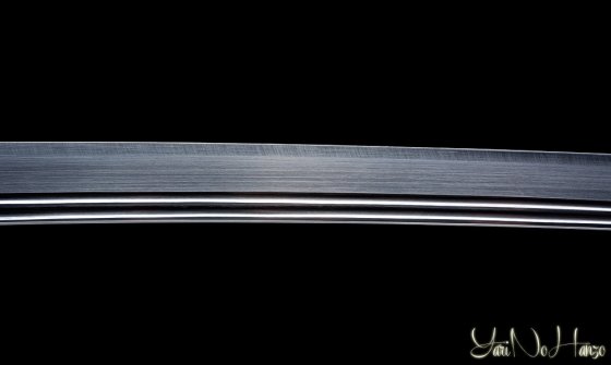 shinden fudo ryu katana giapponese