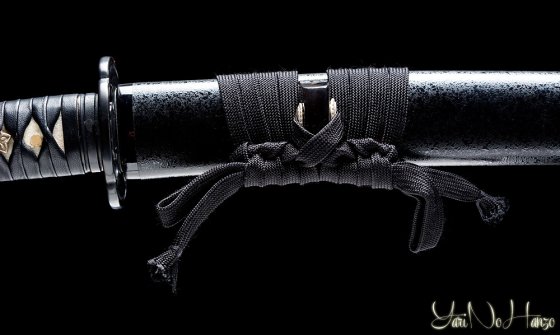 shinden fudo ryu katana giapponese