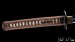 tombo katana giapponese